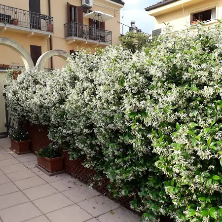 Apartmán Scalzi 18 *